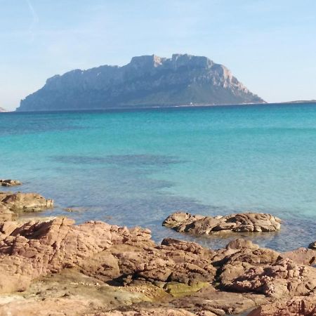 Aria Di Vacanza - Gelsi Olbia Bagian luar foto