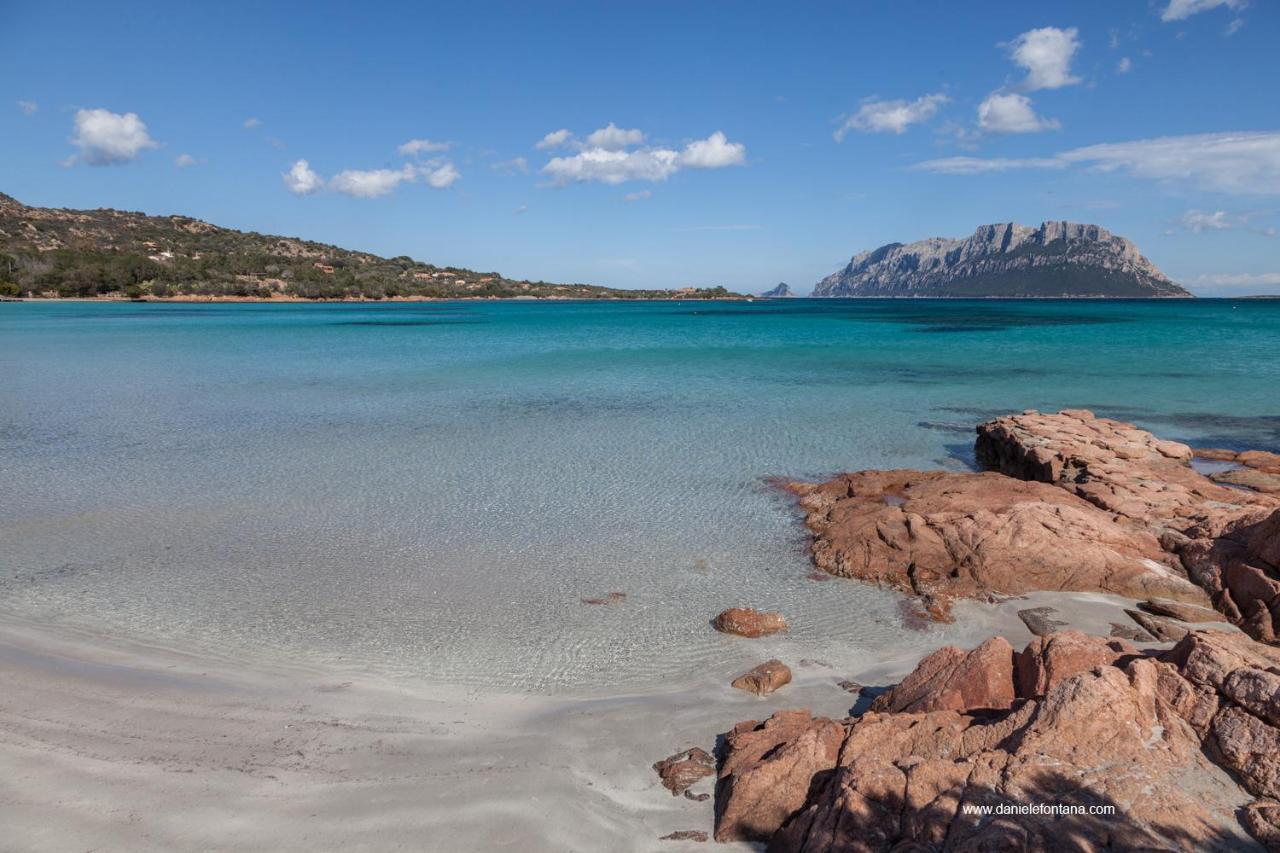 Aria Di Vacanza - Gelsi Olbia Bagian luar foto