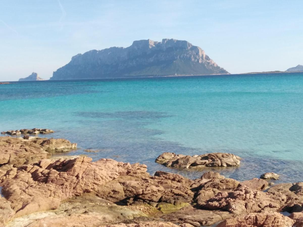 Aria Di Vacanza - Gelsi Olbia Bagian luar foto